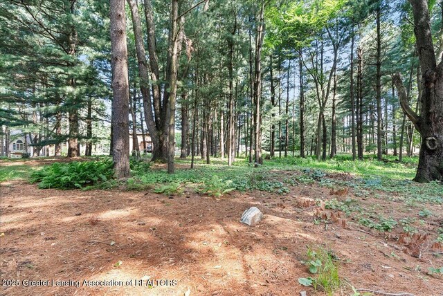 3980 Shoals Dr, Okemos, MI 48864 - photo 43