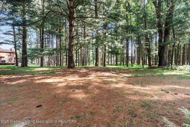 3980 Shoals Dr, Okemos, MI 48864 - photo 46