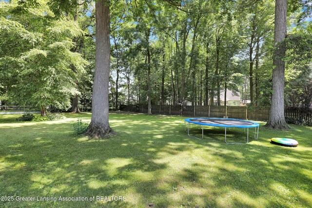 345 Ardelean Dr, Owosso, MI 48867 - photo 49