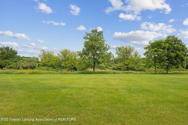 1488 Silverstone Way, Okemos, MI 48864 - photo 54