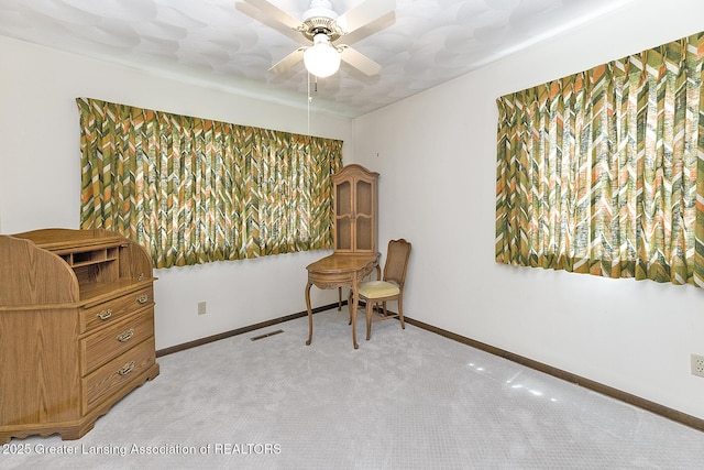3505 Brisbane Dr, Lansing, MI 48911 - photo 17