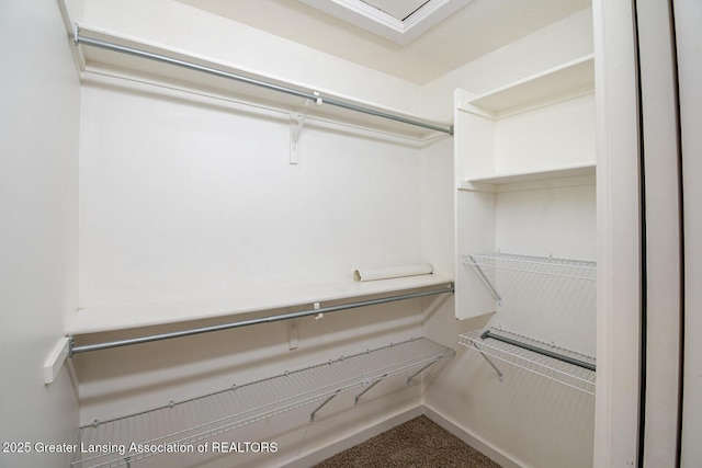 5910 Printemp Dr, East Lansing, MI 48823 - photo 40