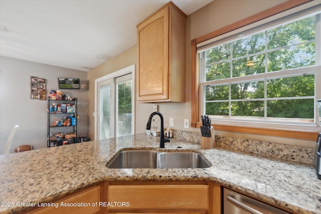 204 S Emerald Way, Morrice, MI 48857 - photo 16