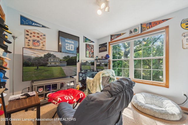 204 S Emerald Way, Morrice, MI 48857 - photo 23
