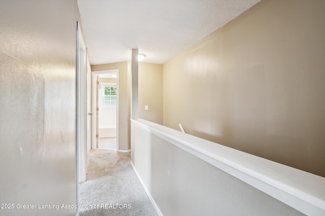 3600-3602 Malibu Dr, Lansing, MI 48911 - photo 21