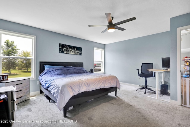 6390 Mills Hwy, Eaton Rapids, MI 48827 - photo 14