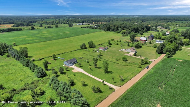 6390 Mills Hwy, Eaton Rapids, MI 48827 - photo 27
