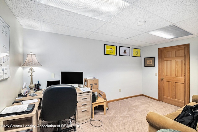 4701 Canyon Trl, Lansing, MI 48917 - photo 35