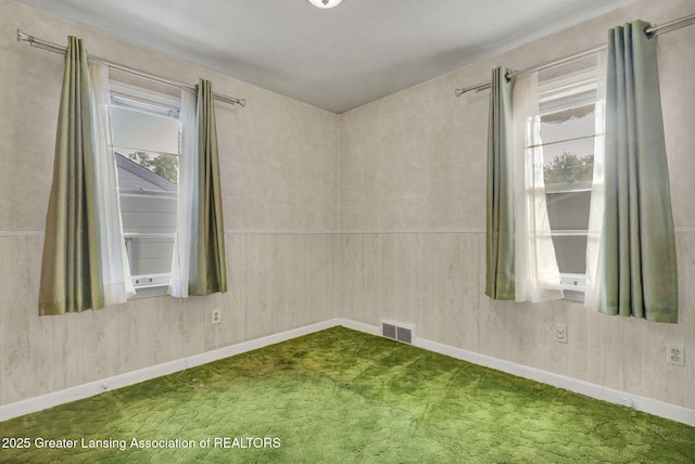 810 Holten St, Lansing, MI 48915 - photo 17