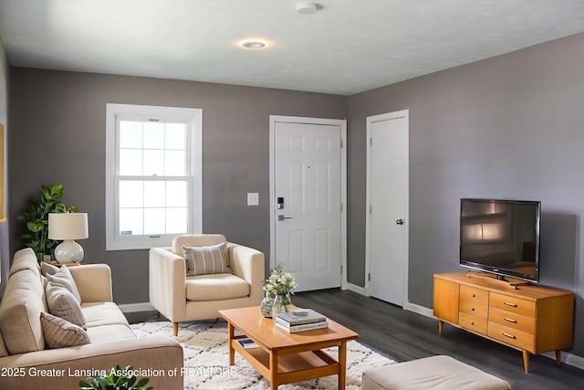 924 Warner Ave, Mason, MI 48854 - photo 4