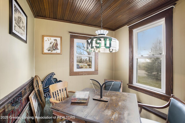 247 Ives Rd, Mason, MI 48854 - photo 10