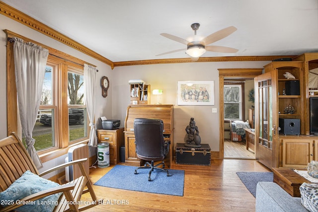 247 Ives Rd, Mason, MI 48854 - photo 11