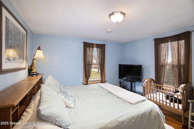 247 Ives Rd, Mason, MI 48854 - photo 17