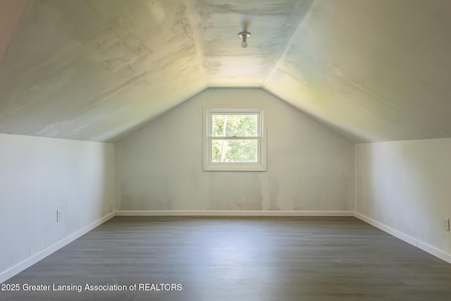 331 N College Rd, Mason, MI 48854 - photo 37