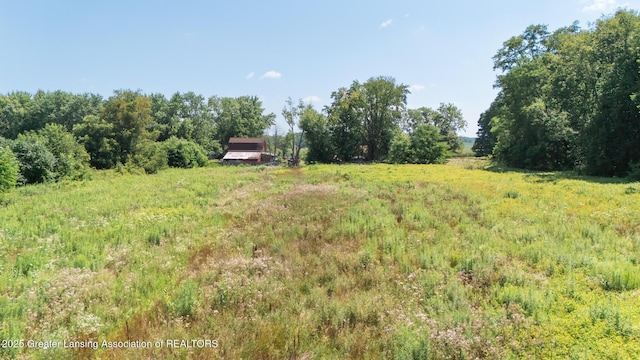 331 N College Rd, Mason, MI 48854 - photo 52