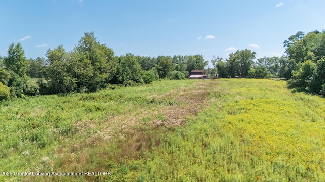 331 N College Rd, Mason, MI 48854 - photo 53