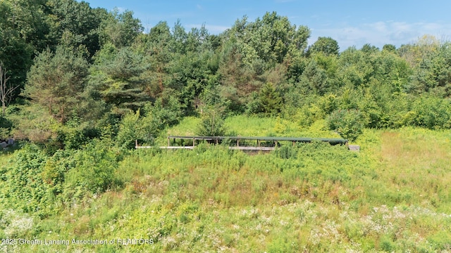 331 N College Rd, Mason, MI 48854 - photo 57