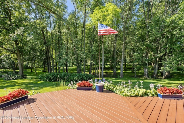 2284 Pinch Hwy, Charlotte, MI 48813 - photo 29