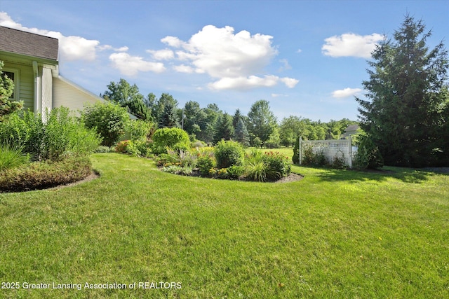 2284 Pinch Hwy, Charlotte, MI 48813 - photo 30