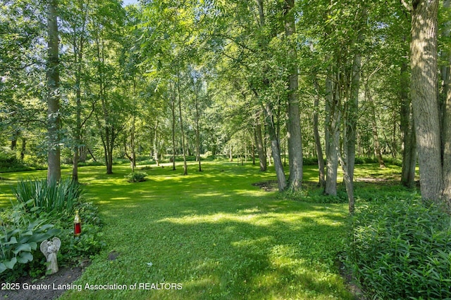 2284 Pinch Hwy, Charlotte, MI 48813 - photo 34