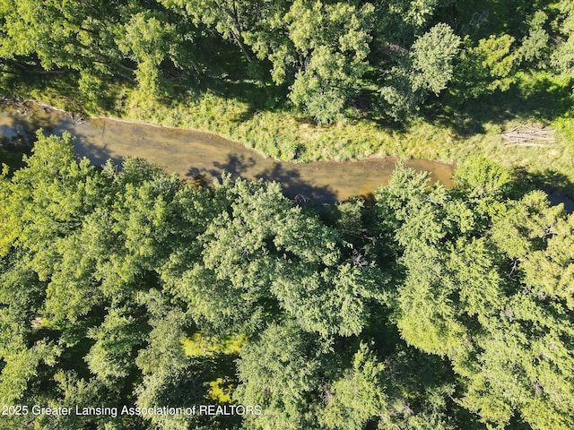 2284 Pinch Hwy, Charlotte, MI 48813 - photo 40
