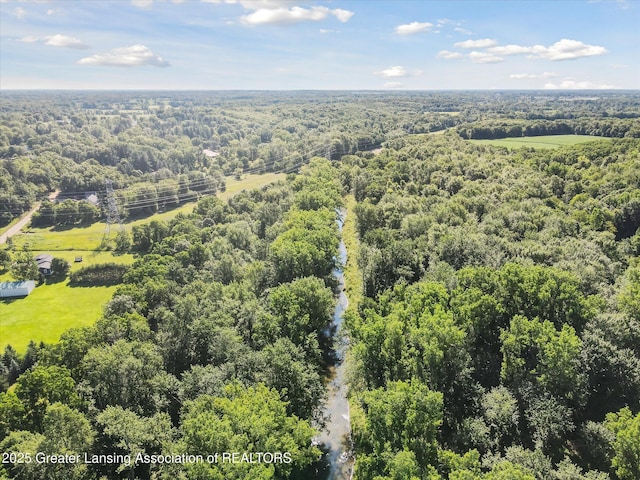 2284 Pinch Hwy, Charlotte, MI 48813 - photo 41