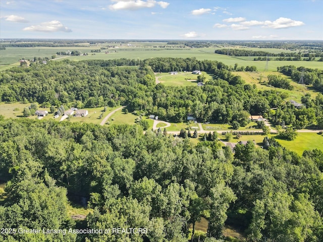 2284 Pinch Hwy, Charlotte, MI 48813 - photo 42