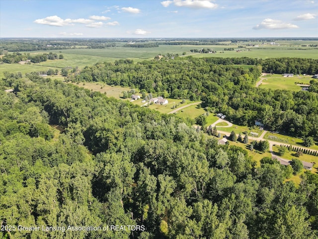 2284 Pinch Hwy, Charlotte, MI 48813 - photo 43