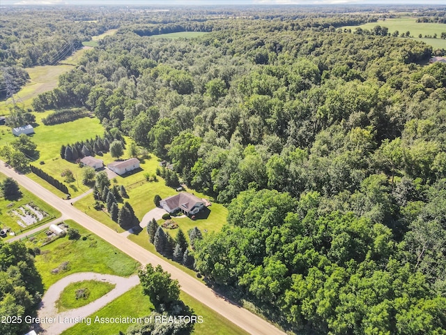 2284 Pinch Hwy, Charlotte, MI 48813 - photo 47