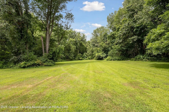 12721 Perry Rd, Battle Creek, MI 49015 - photo 42