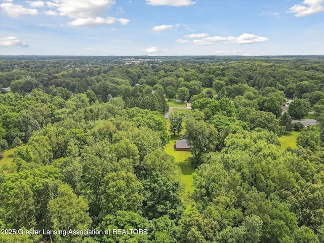 12721 Perry Rd, Battle Creek, MI 49015 - photo 56