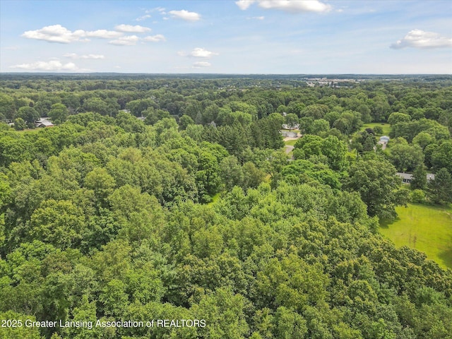 12721 Perry Rd, Battle Creek, MI 49015 - photo 57