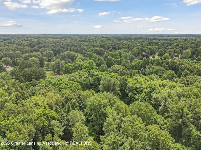 12721 Perry Rd, Battle Creek, MI 49015 - photo 58