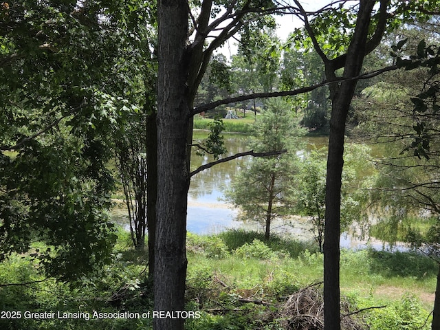 0 Kali Ln Unit 30, Alma, MI 48801 - photo 26