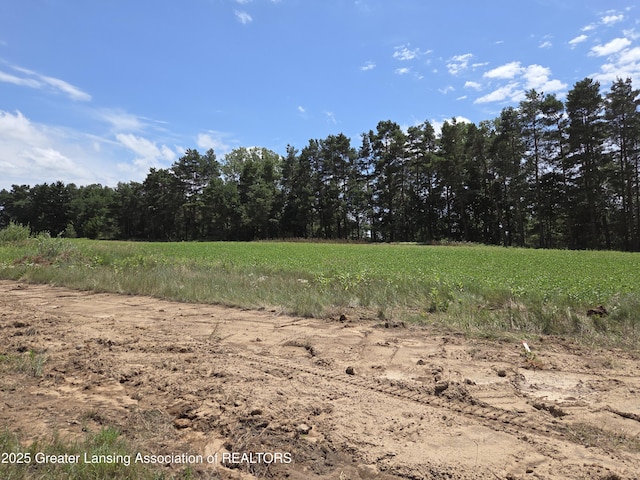 0 Kali Ln Unit 30, Alma, MI 48801 - photo 25
