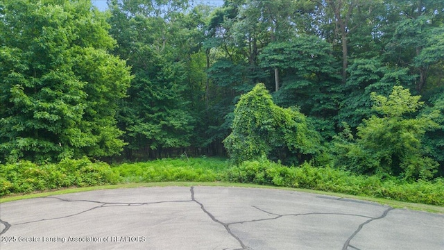 5675 Iosco Mountain Rd, Gregory, MI 48137 - photo 4