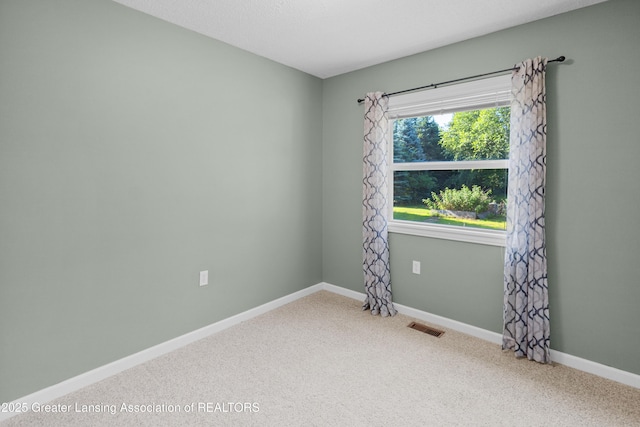4242 Ballantine Rd, Dewitt, MI 48820 - photo 34