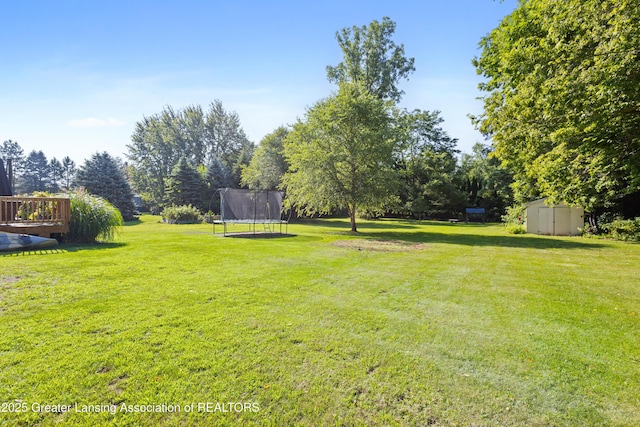 4242 Ballantine Rd, Dewitt, MI 48820 - photo 52