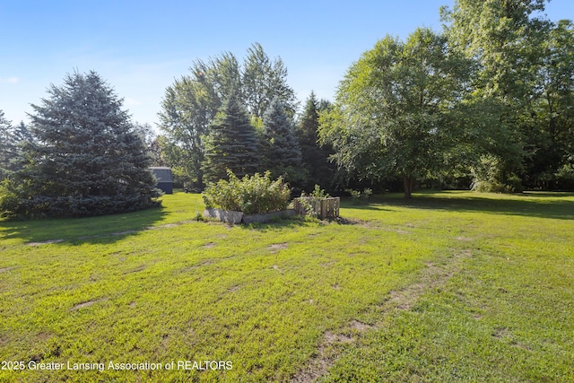 4242 Ballantine Rd, Dewitt, MI 48820 - photo 57