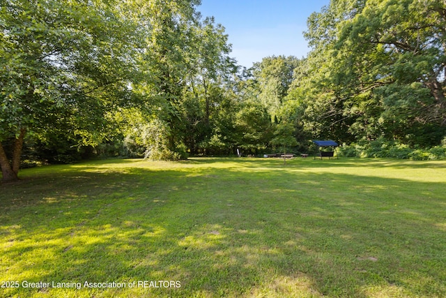 4242 Ballantine Rd, Dewitt, MI 48820 - photo 58
