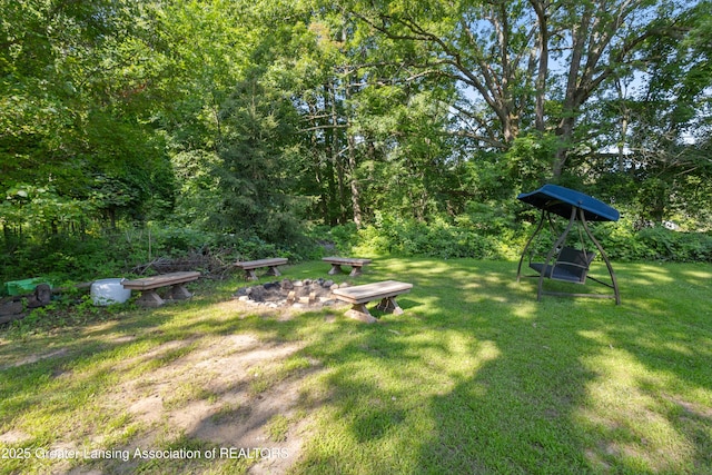 4242 Ballantine Rd, Dewitt, MI 48820 - photo 59