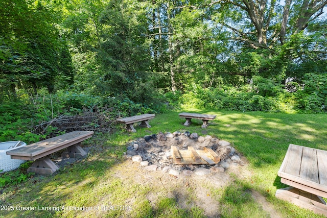 4242 Ballantine Rd, Dewitt, MI 48820 - photo 60