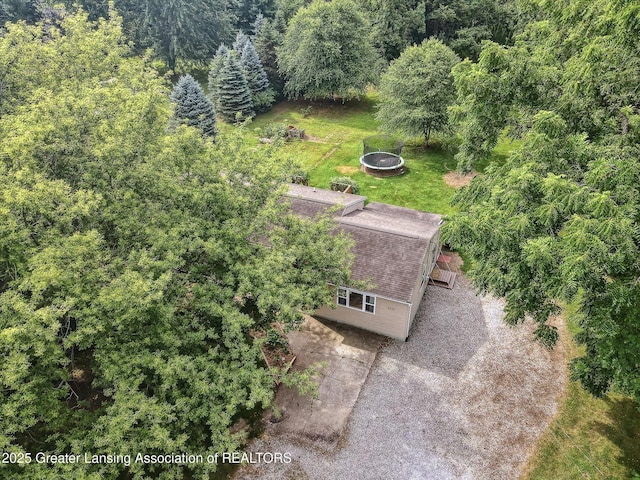4242 Ballantine Rd, Dewitt, MI 48820 - photo 67