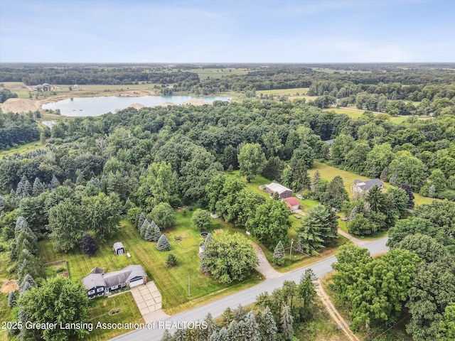 4242 Ballantine Rd, Dewitt, MI 48820 - photo 70