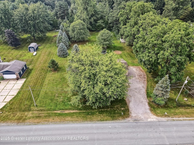 4242 Ballantine Rd, Dewitt, MI 48820 - photo 71