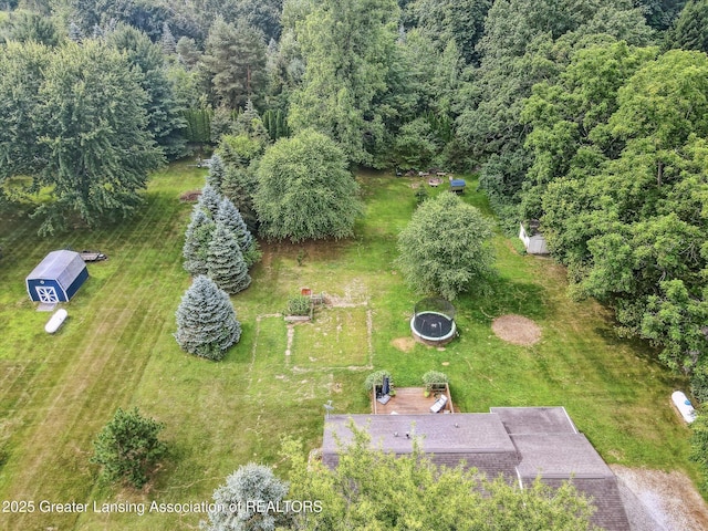 4242 Ballantine Rd, Dewitt, MI 48820 - photo 72