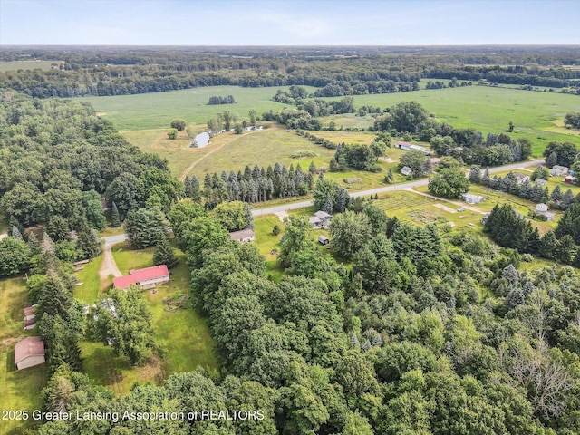 4242 Ballantine Rd, Dewitt, MI 48820 - photo 77