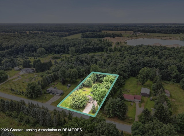 4242 Ballantine Rd, Dewitt, MI 48820 - photo 3