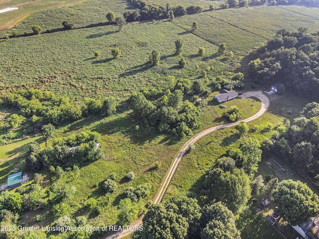 7910 Coon Hill Rd, Munith, MI 49259 - photo 9