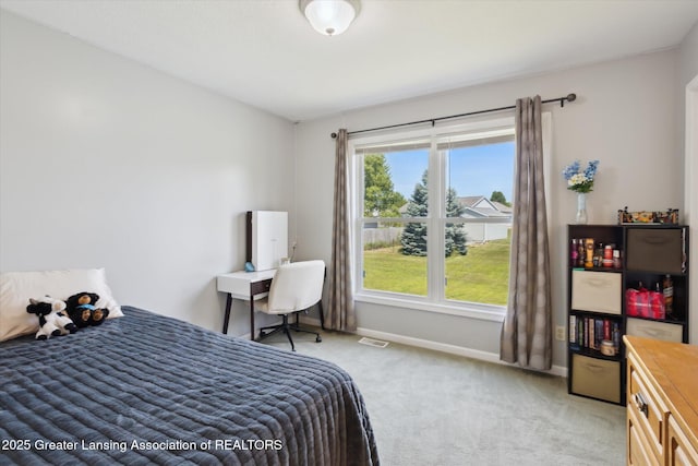 1204 Kelcrasta Dr, Saint Johns, MI 48879 - photo 27